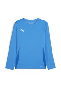 Dziecięcy dżersej z długim rękawem Puma TeamGoal. Kolor: niebieski, wielokolorowy, biały. Materiał: jersey. Długość rękawa: długi rękaw. Długość: długie. Sport: piłka nożna #1