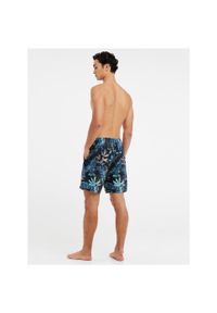 Spodenki męskie Protest PRTDORSET beachshort. Kolor: niebieski