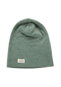 ALPINE PRO - Czapka turystyczna z wełną merino 100% Alpine Pro Bedade. Kolor: zielony. Materiał: wełna. Styl: sportowy