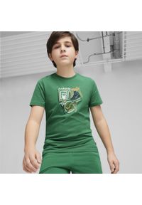 Puma Koszulka Graphics Year Of Sports 68029986. Kolor: zielony