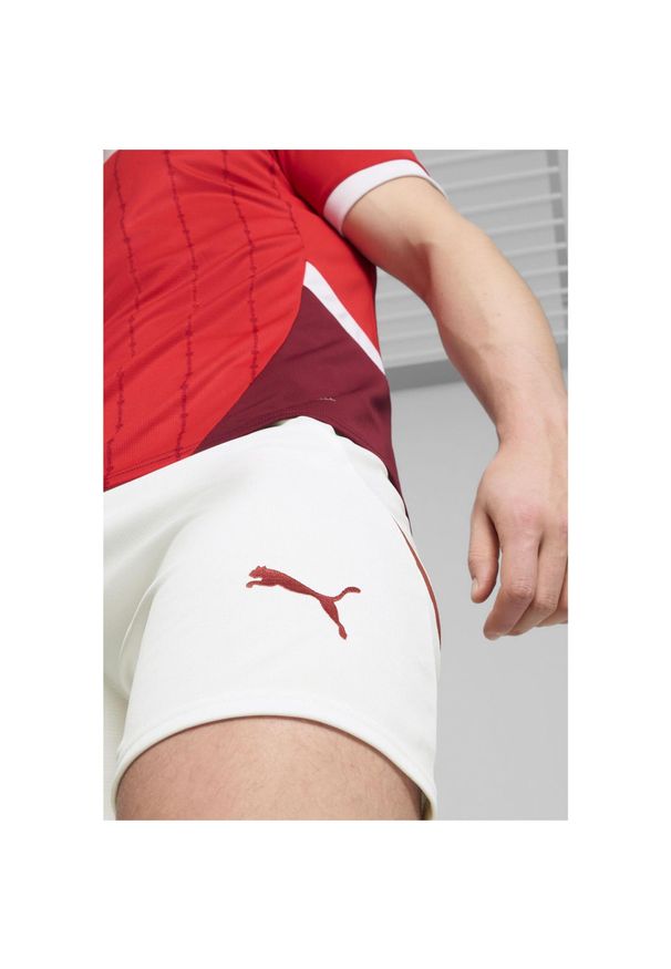 Puma - Męska replika spodenek do piłki nożnej reprezentacji Szwajcarii PUMA. Kolor: biały, czerwony, wielokolorowy