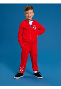 Sinsay - Spodnie dresowe Spider-Man - czerwony. Kolor: czerwony. Materiał: dresówka