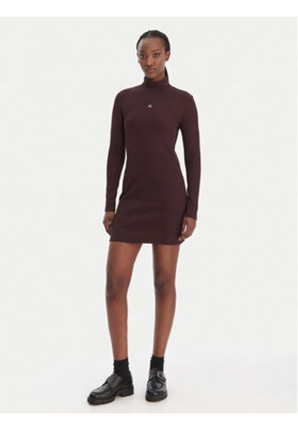 Calvin Klein Jeans Sukienka codzienna LV047E204G Brązowy Slim Fit. Okazja: na co dzień. Kolor: brązowy. Materiał: bawełna. Typ sukienki: proste. Styl: casual