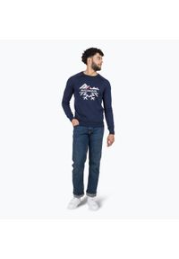 Sweter męski Rossignol Jacquard Crew Neck. Kolor: niebieski