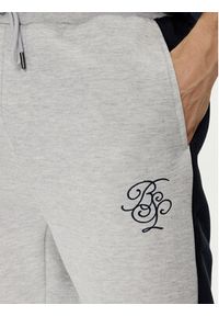 Brave Soul Spodnie dresowe MJS-516ALSTON Szary Straight Fit. Kolor: szary. Materiał: syntetyk, bawełna #3