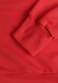 Born2be - Czerwona Bluza z Bawełną Ozdobiona Ściągaczami Hilani. Okazja: na spacer, na co dzień. Kolor: czerwony. Materiał: bawełna. Wzór: aplikacja. Styl: casual, elegancki, klasyczny #2