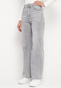 Born2be - Jasnoszare Jeansy Szerokie z Bawełny z Wyższym Stanem Adrinca. Okazja: na co dzień. Stan: podwyższony. Kolor: szary. Styl: casual #6