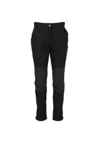 Spodnie trekkingowe ocieplane męskie Whistler Wander W-PRO 10000. Kolor: szary, wielokolorowy, czarny. Sezon: lato. Sport: turystyka piesza #1