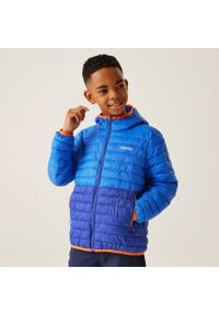 Regatta - Kurtka dziecięca Hillpack II. Kolor: niebieski. Materiał: puch, poliamid. Styl: elegancki, sportowy #1