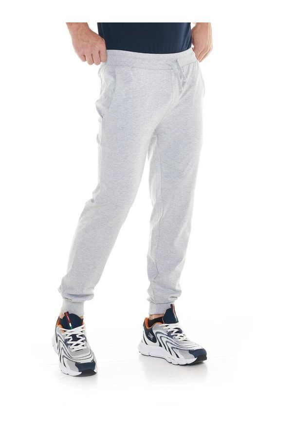 LEONE 1947 APPAREL - Męskie spodnie sportowe z małym logo. Kolor: szary. Materiał: tkanina. Sport: fitness