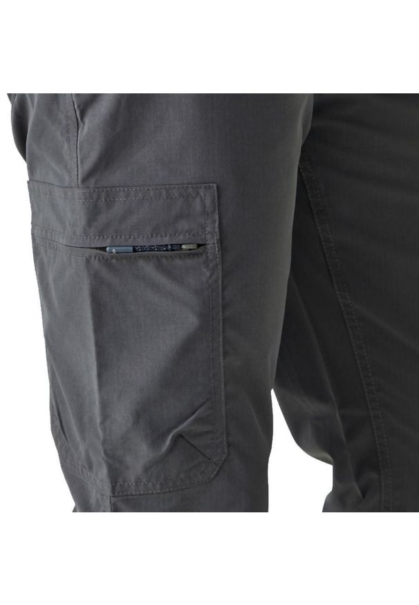 Spodnie trekkingowe dla mężczyzn Regatta DALRY MULTI POCKET. Kolor: szary. Materiał: tkanina. Sport: turystyka piesza