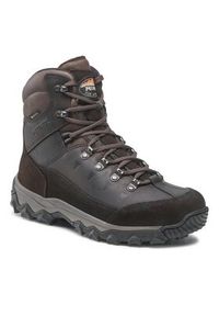 MEINDL - Meindl Trekkingi Rauris Gtx GORE-TEX 7894 Brązowy. Kolor: brązowy. Materiał: skóra, nubuk. Technologia: Gore-Tex. Sport: turystyka piesza