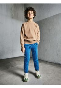 Sinsay - Spodnie dresowe z przeszyciami - niebieski. Kolor: niebieski. Materiał: dresówka