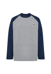 Dziecięca koszulka z długim rękawem Hummel Bee Loose. Kolor: niebieski. Długość rękawa: długi rękaw. Długość: długie #1