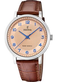 Zegarek Festina Zegarek męski Festina F20660-2 brązowy. Kolor: brązowy #1
