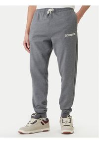 DC Shoes Spodnie dresowe Baseline ADYFB03069 Szary Regular Fit. Kolor: szary. Materiał: bawełna #1