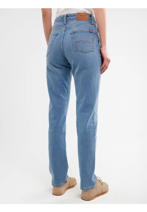 Big-Star - Jeansy damskie jasnoniebieskie Charlotte 170. Stan: podwyższony. Kolor: niebieski. Wzór: aplikacja. Styl: elegancki