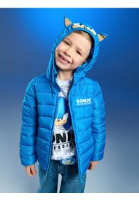 Sinsay - Pikowana kurtka z kapturem 3D Sonic the Hedgehog - niebieski. Typ kołnierza: kaptur. Kolor: niebieski #1
