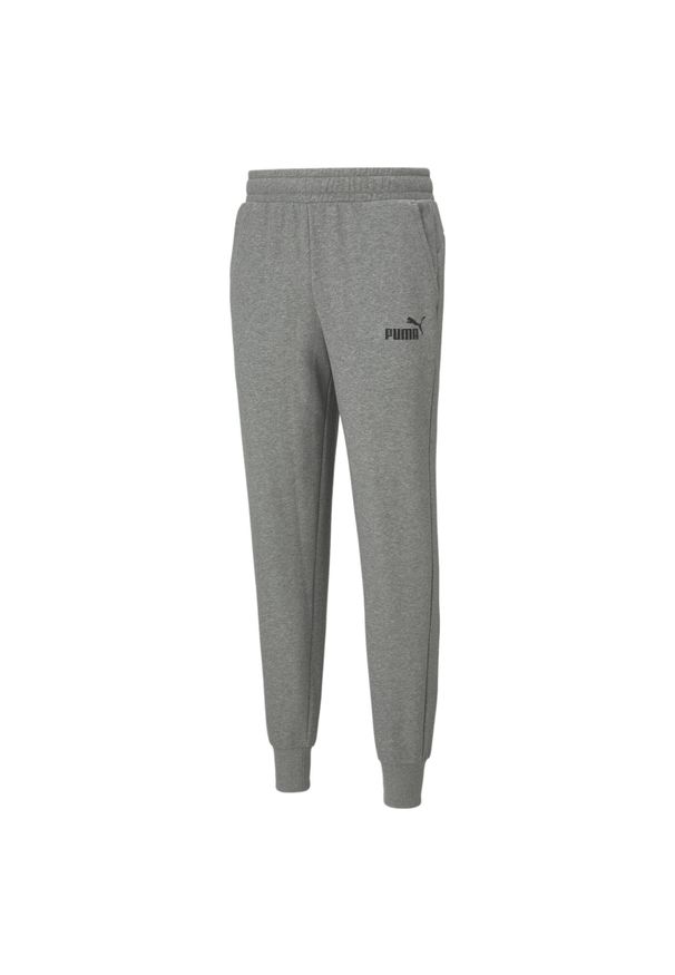 Spodnie Puma ESS Logo TR cl. Kolor: szary. Materiał: materiał. Sport: fitness