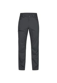Haglöfs - Spodnie outdoorowe męskie Lite Standard Pant. Kolor: szary