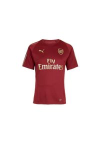 Puma Arsenal FC Training Jr Tee, t-shirt. Kolor: brązowy. Materiał: poliester