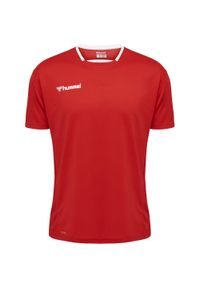 Jersey Hummel enfant hmlAUTHENTIC Poly HML. Kolor: czerwony, wielokolorowy, różowy. Materiał: jersey. Sport: fitness