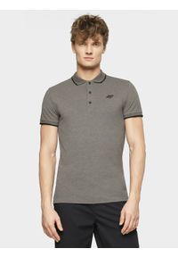 4f - Koszulka polo regular męska. Okazja: na co dzień. Typ kołnierza: polo. Kolor: szary. Materiał: dzianina, materiał. Styl: casual #1
