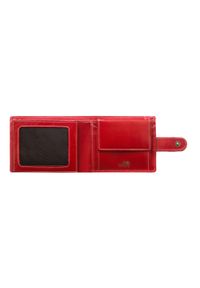 Wittchen - Skórzany portfel średni czerwony. Kolor: czerwony. Materiał: skóra. Wzór: aplikacja #7