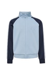 Dziewczęca bluza dresowa Hummel Daily. Kolor: niebieski. Materiał: dresówka. Wzór: haft