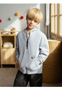 Sinsay - Bluza hoodie z zapięciem na zamek - szary. Kolor: szary
