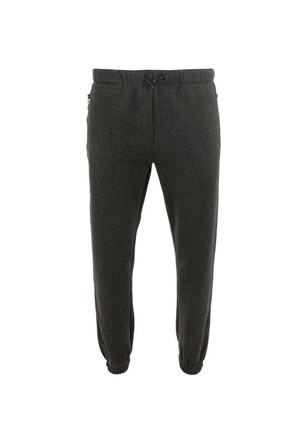 ZOOPLEMENTS - Spodnie dresowe męskie Athl. DPT. SILVANO — Charcoal Melange. Kolor: szary. Materiał: dresówka. Sezon: jesień