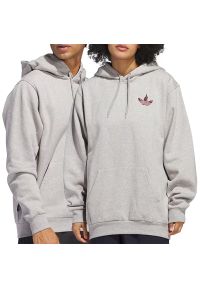 Adidas - Bluza unisex adidas Originals Trefoil Torch JC8780 - szara. Typ kołnierza: kaptur. Kolor: szary. Materiał: bawełna, poliester, materiał. Wzór: aplikacja. Styl: klasyczny