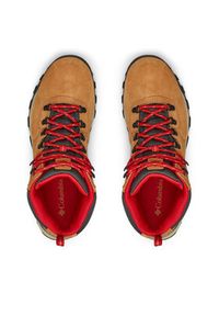 columbia - Columbia Trekkingi Newton Ridge Plus II Suede Wp 1746411 Brązowy. Kolor: brązowy. Materiał: zamsz, skóra. Sport: turystyka piesza #6