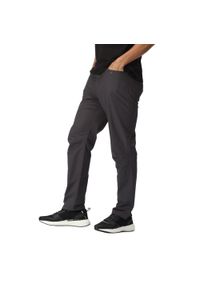 Regatta - Męskie spodnie bawełniane Delgado szare. Kolor: szary. Materiał: poliamid, bawełna. Sport: turystyka piesza
