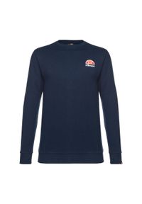 Bluza sportowa męska Ellesse. Kolor: niebieski