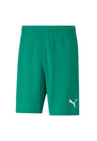 Puma - Męskie Spodenki Dresowe TeamRISE. Kolor: zielony. Materiał: dresówka
