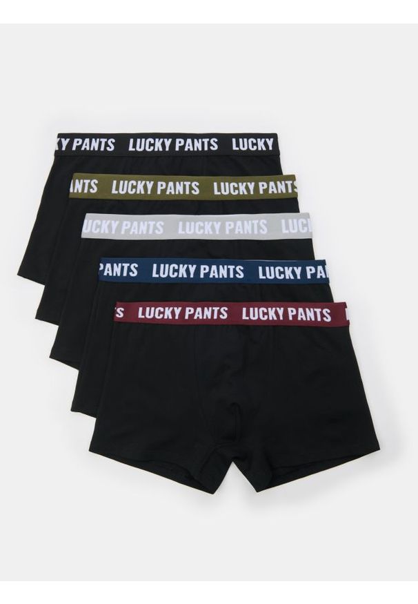 Sinsay - Bawełniane bokserki 5 pack - czarny. Kolor: czarny. Materiał: bawełna