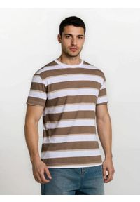 Sinsay - Bawełniana koszulka w paski - brązowy. Kolor: brązowy. Materiał: bawełna. Wzór: paski #1