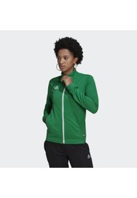 Adidas - Entrada 22 Track Jacket. Kolor: biały, zielony, wielokolorowy. Materiał: materiał. Sport: piłka nożna