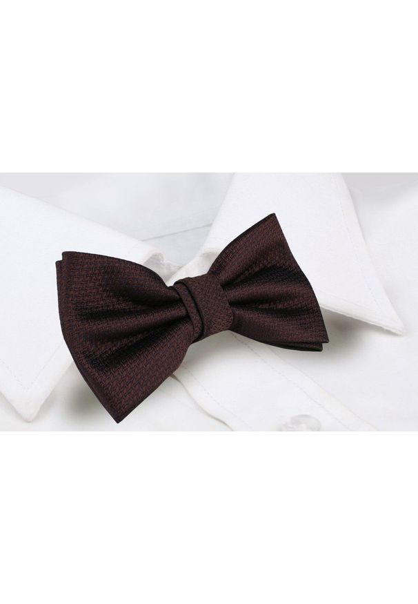 Mucha Męska z Poszetką - Chattier - Głęboki Brąz. Kolor: wielokolorowy, brązowy, beżowy. Styl: elegancki, sportowy