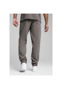 Puma Spodnie Tech Dk Cl 68460179. Kolor: szary