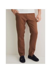 Ochnik - Brązowe lniane spodnie męskie. Kolor: brązowy. Materiał: len