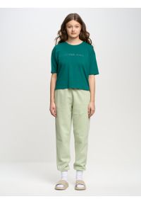 Big-Star - Spodnie dresowe damskie zielone Foxie 301. Kolor: zielony. Materiał: dresówka. Wzór: aplikacja, haft