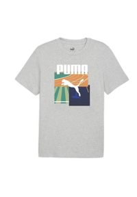 Koszulka sportowa męska Puma Graphics Summer Sports. Kolor: szary. Materiał: bawełna. Długość rękawa: krótki rękaw. Długość: krótkie