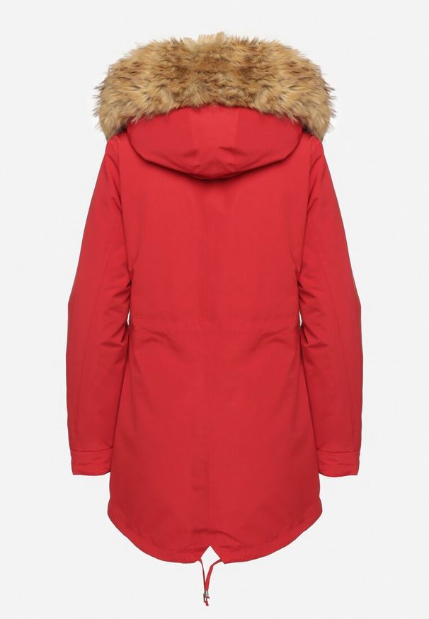 Born2be - Bordowa Zimowa Kurtka Parka z Odpinanym Futerkowym Zdobieniem i Kapturem Sialinnea. Okazja: na co dzień. Kolor: czerwony. Wzór: aplikacja. Sezon: zima. Styl: casual, elegancki, klasyczny