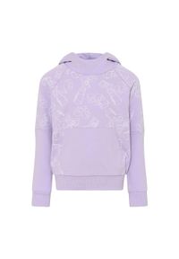 LEGO Wear - Bluza trekkingowa dziecięca LEGO Lwstorm 214. Kolor: fioletowy