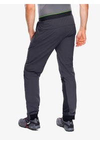 Spodnie turystyczne męskie Inov-8 VentureLite Pant. Kolor: czarny
