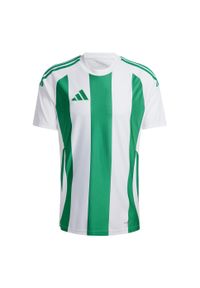 Adidas - Koszulka męska adidas Striped 24 Jersey. Kolor: zielony, wielokolorowy, biały. Materiał: jersey