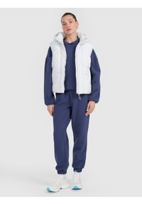 4f - 4F Bezrękawnik puchowy z wypełnieniem syntetycznym damski - szary XS. Okazja: na co dzień. Typ kołnierza: kołnierzyk stójkowy. Kolor: szary. Materiał: puch, syntetyk. Długość rękawa: bez rękawów. Styl: casual #2