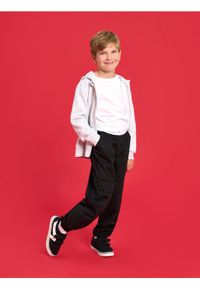 Sinsay - Jeansy z kieszeniami na kolanach - czarny. Kolor: czarny #1